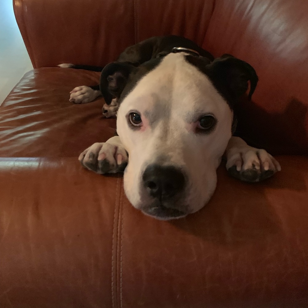 Meet your Posher, Chloe